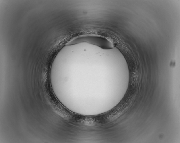 X0000096720600200802261656