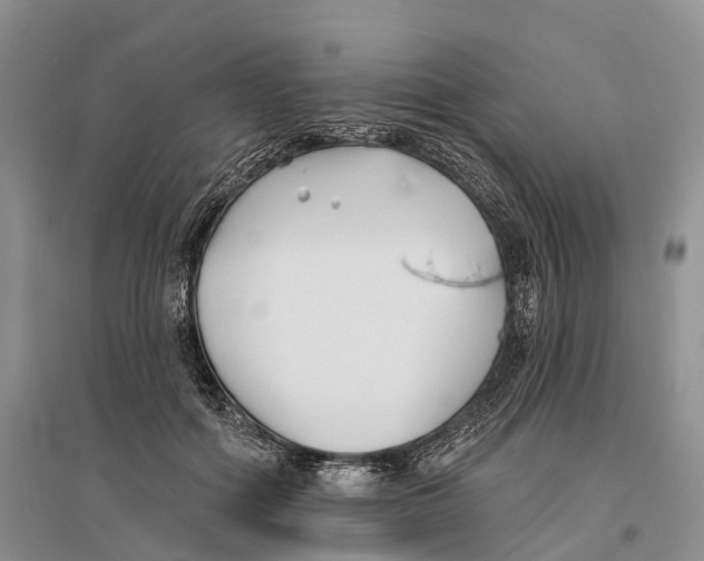 X0000096720602200802261656