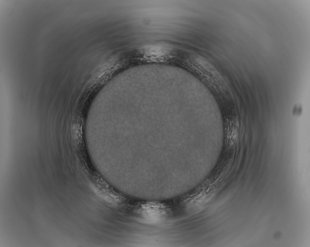 X0000096720603200802261656