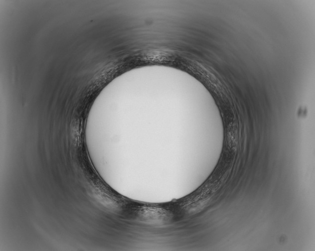 X0000096720605200802261656