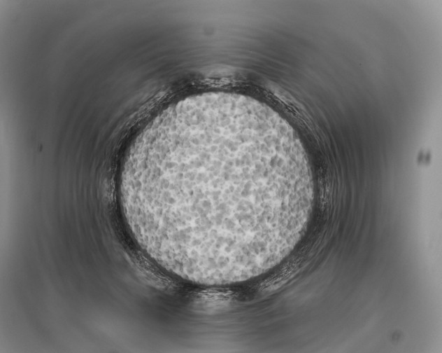 X0000096720606200802261656