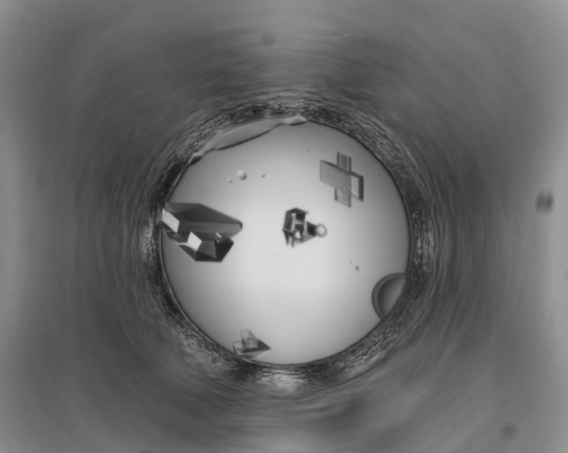 X0000096720610200802261656