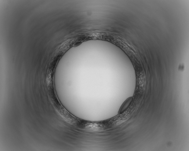 X0000096720611200802261656