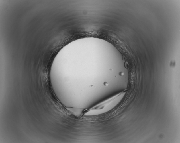 X0000096720613200802261656