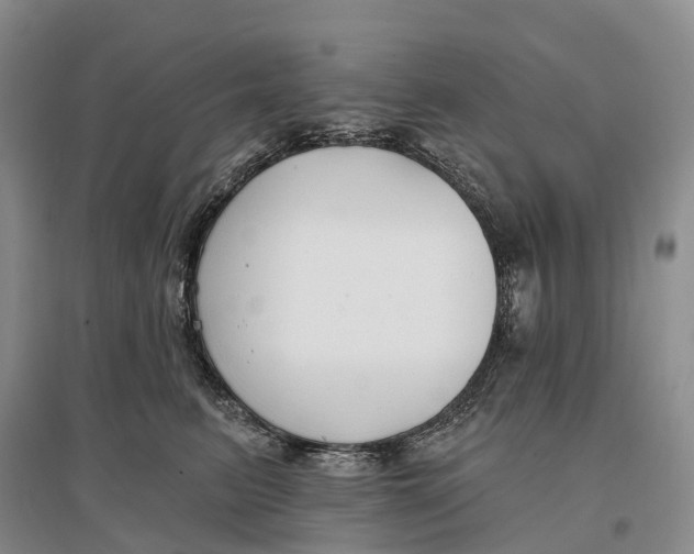 X0000096720615200802261655