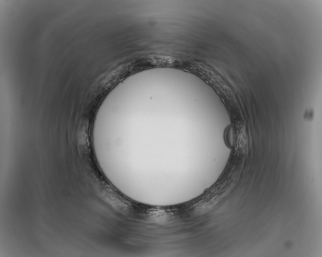 X0000096720616200802261655