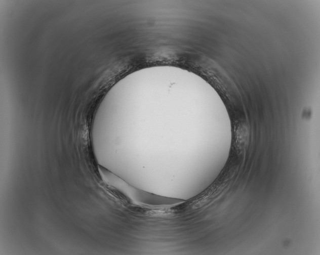 X0000096720617200802261655