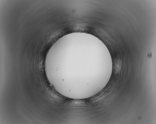 X0000096720619200802261655