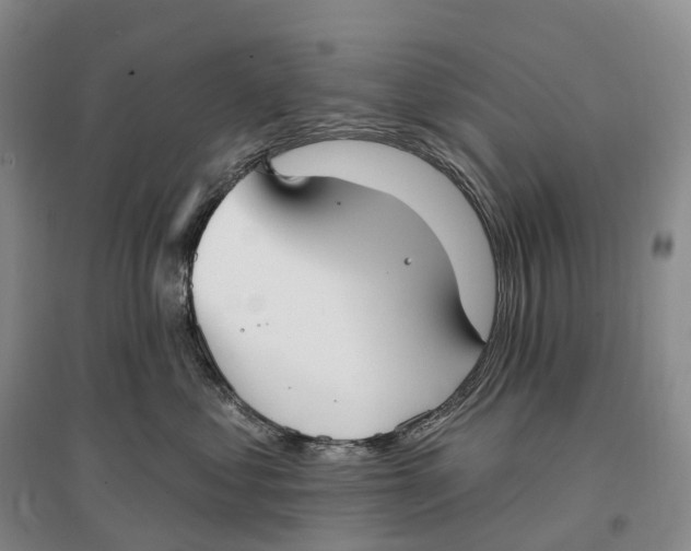 X0000096720621200802261655