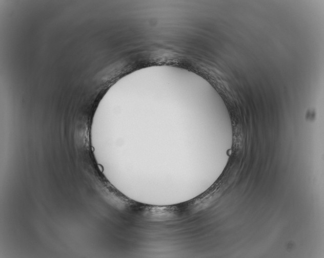 X0000096720622200802261655