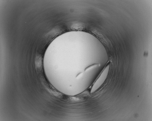 X0000096720623200802261655