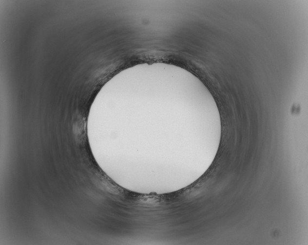 X0000096720624200802261655