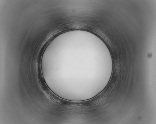 X0000096720626200802261655