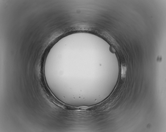 X0000096720627200802261655