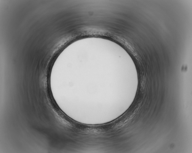 X0000096720629200802261655