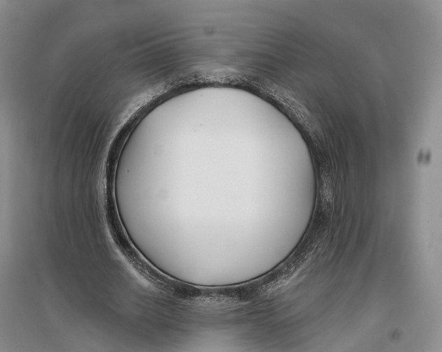 X0000096720630200802261655