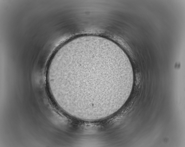 X0000096720632200802261655