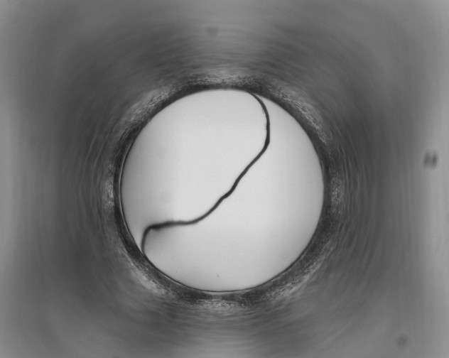 X0000096720633200802261655