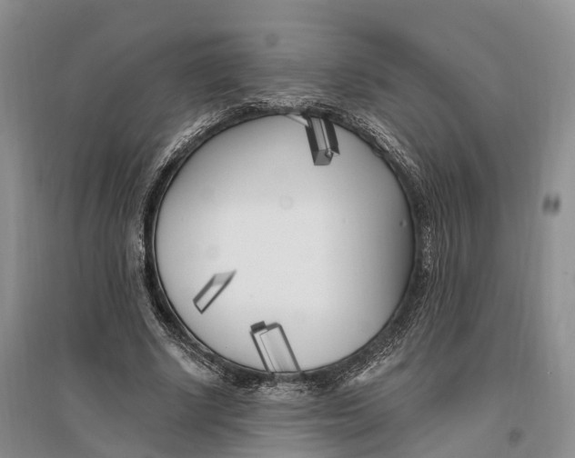 X0000096720634200802261655