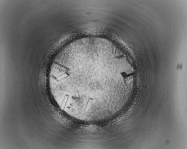 X0000096720637200802261655