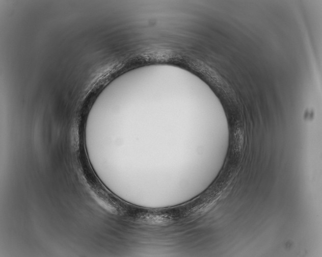 X0000096720638200802261655