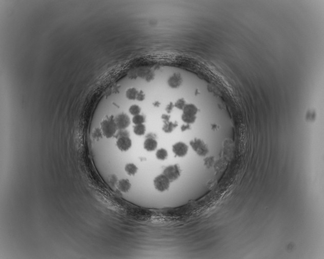 X0000096720641200802261655