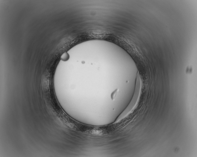 X0000096720647200802261655