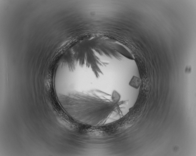 X0000096720648200802261655