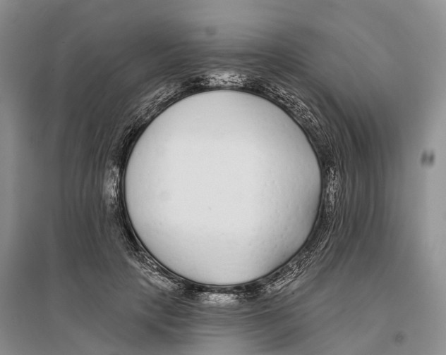 X0000096720649200802261655