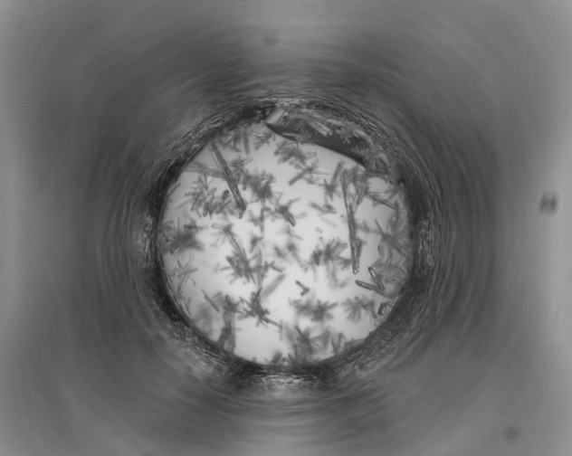 X0000096720650200802261655