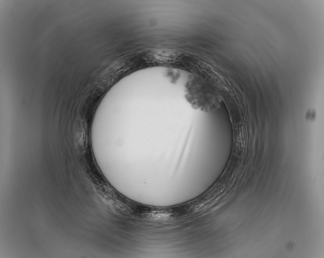 X0000096720651200802261655