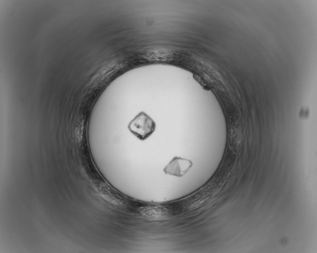 X0000096720652200802261655