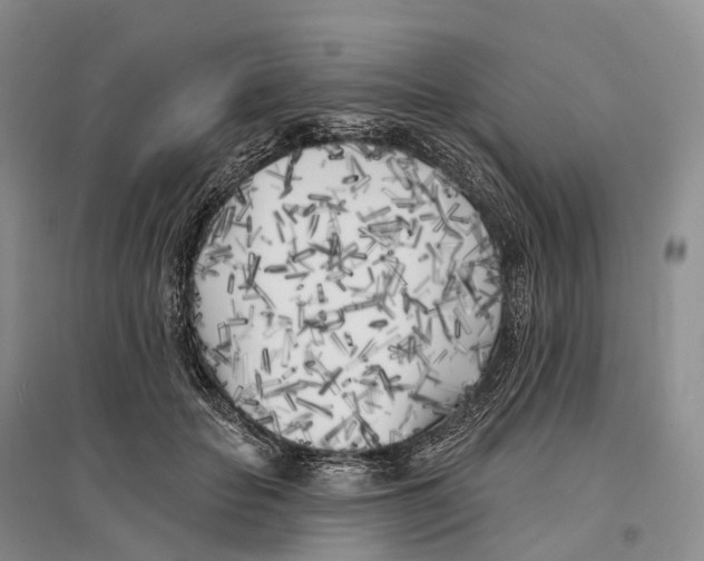 X0000096720653200802261655