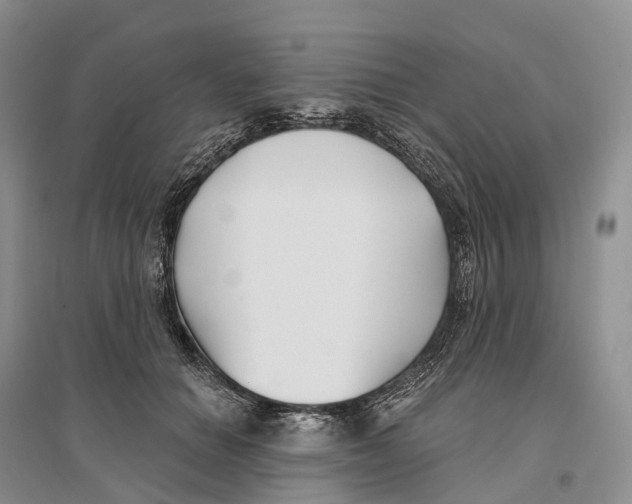 X0000096720654200802261655