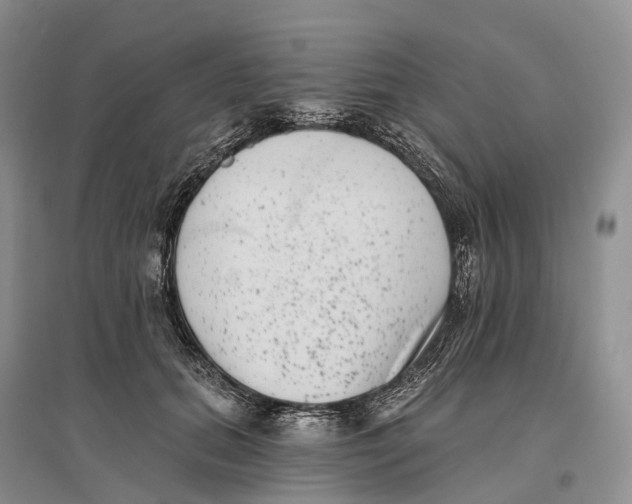 X0000096720655200802261655