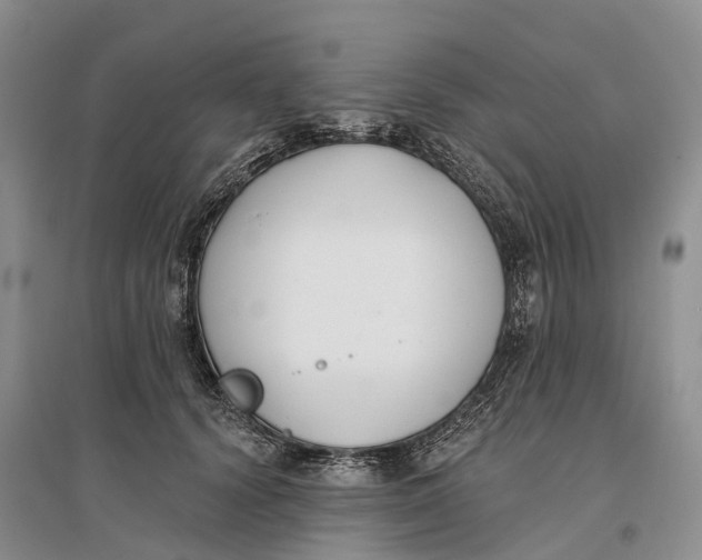 X0000096720656200802261655