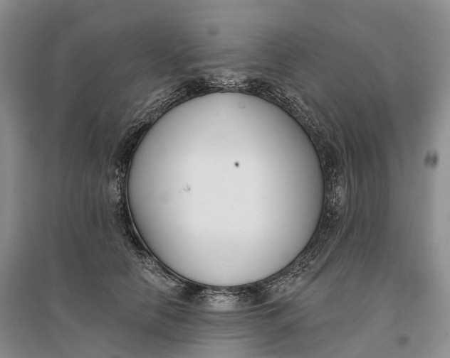 X0000096720658200802261655