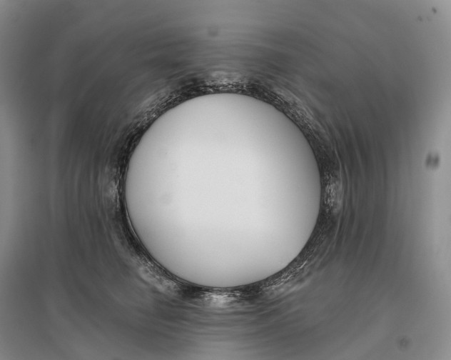 X0000096720662200802261655