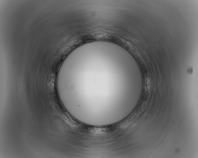 X0000096720664200802261655