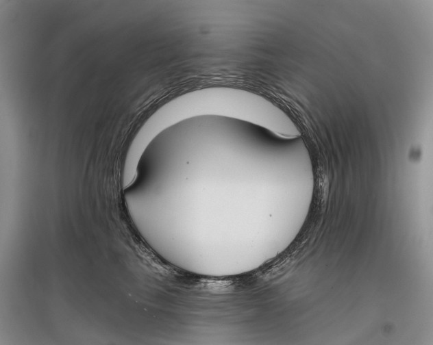 X0000096720665200802261655