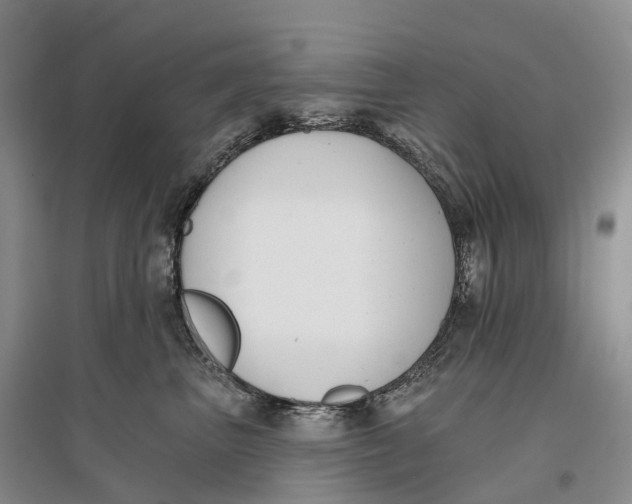 X0000096720667200802261655