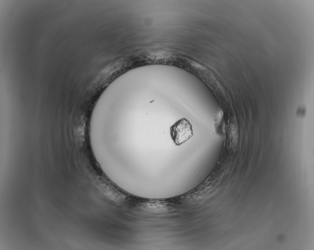 X0000096720668200802261655