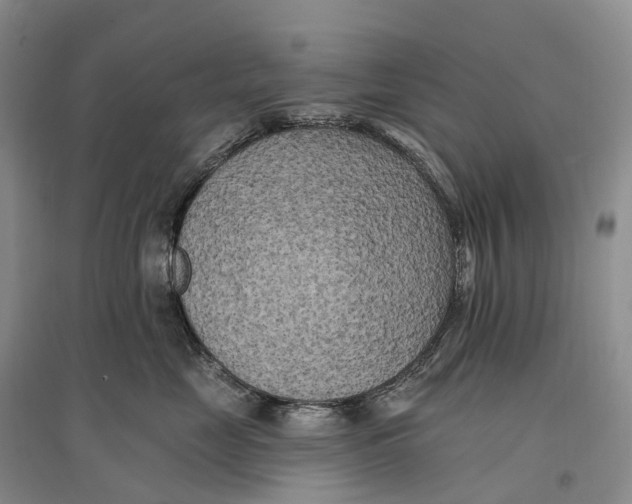 X0000096720669200802261655