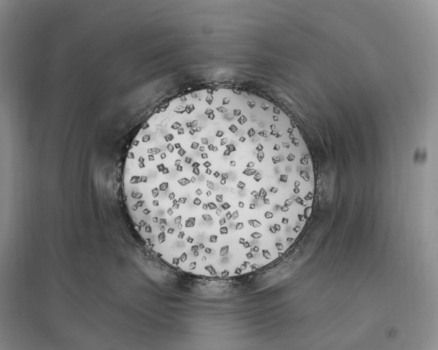 X0000096720671200802261655