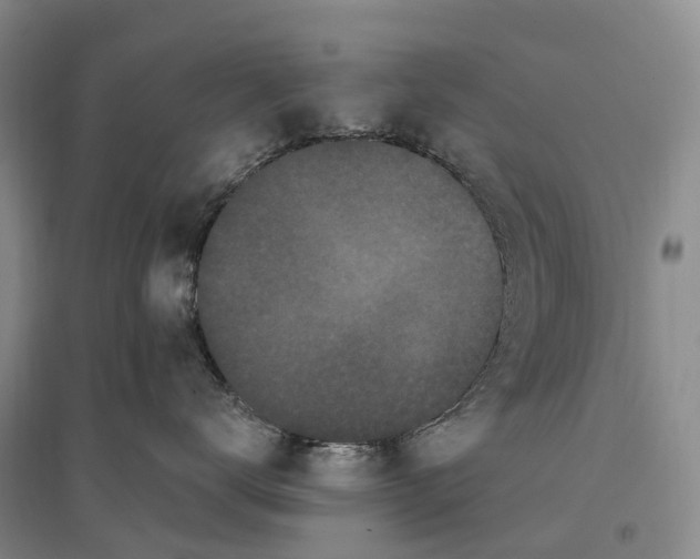 X0000096720672200802261655