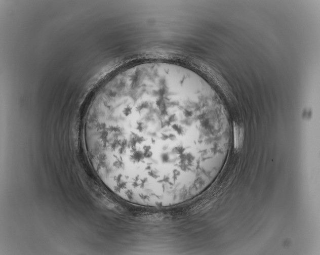 X0000096720675200802261654