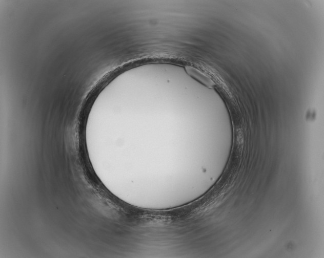 X0000096720676200802261654