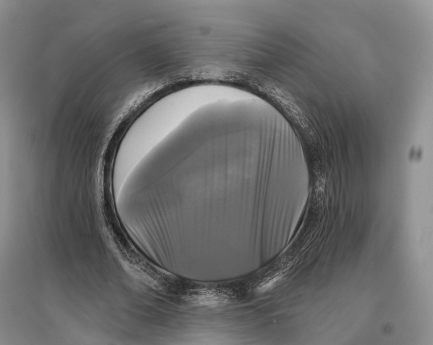 X0000096720678200802261654