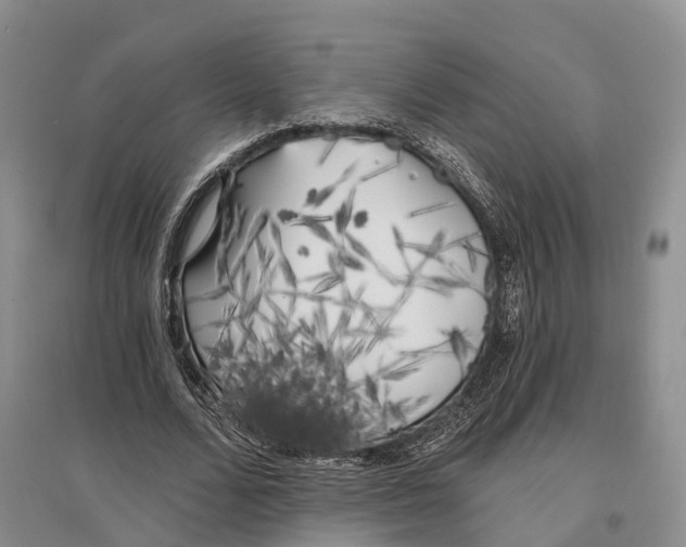 X0000096720680200802261654