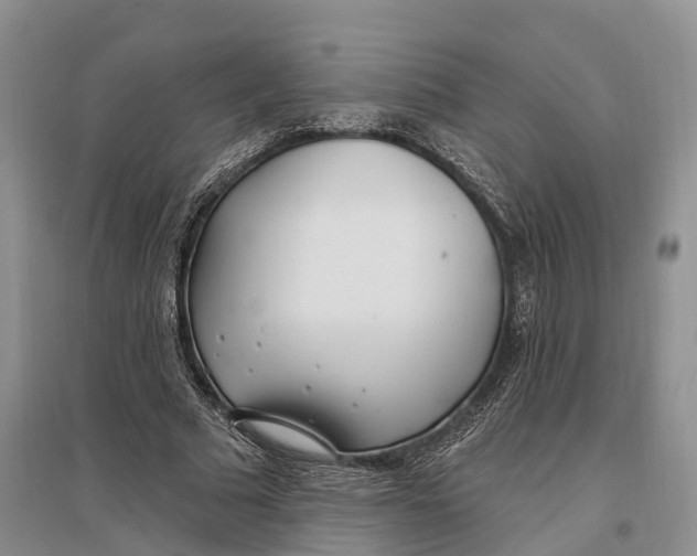 X0000096720681200802261654